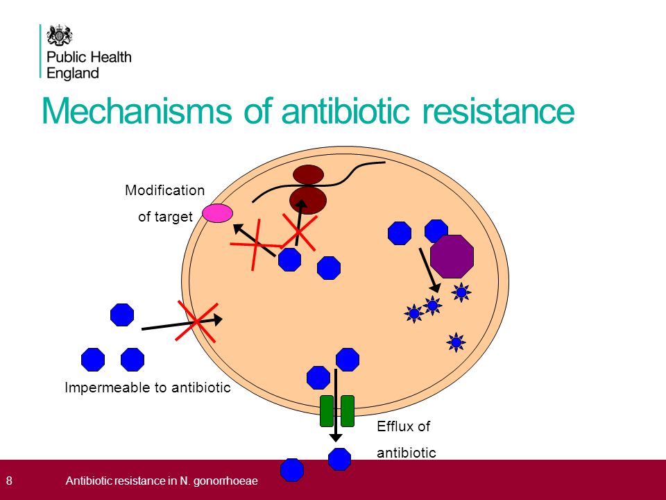 Antibiotic resistance in bacteria essays